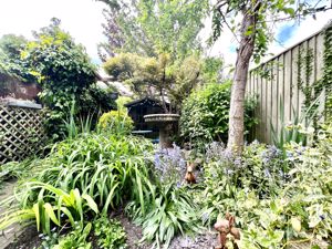Garden- click for photo gallery
